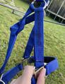 Licol bleu