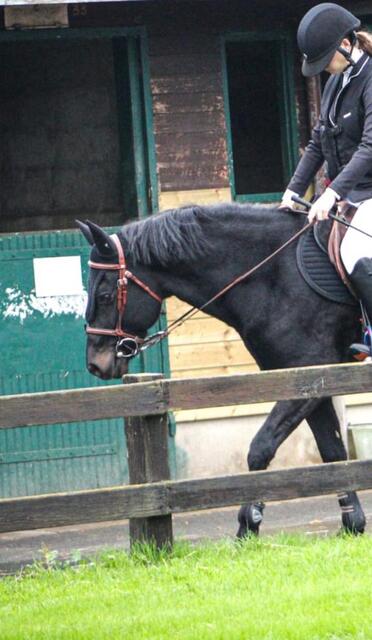 Bonnet long noir Anti-bruit Gerald EQUILINE