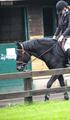 Bonnet long noir Anti-bruit Gerald EQUILINE