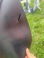 Selle CSO CWD cuir