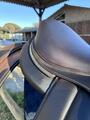 Selle Forestier 2024 17,5“ + sangles