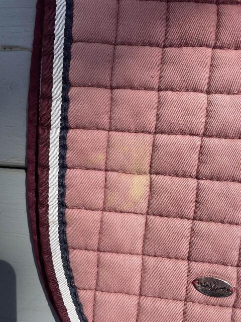 tapis bordeaux showmaster