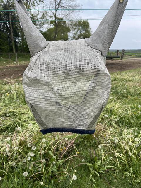 masque à mouche