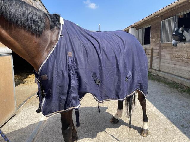 chemise equitheme peu utilisée (2 mois) très bon état taille 7 (165 cm)