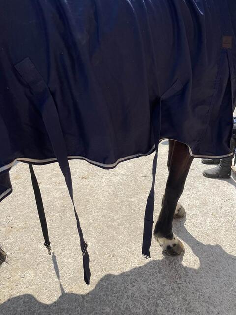 chemise equitheme peu utilisée (2 mois) très bon état taille 7 (165 cm)