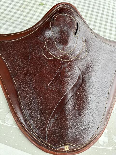Sangle bavette antares 135