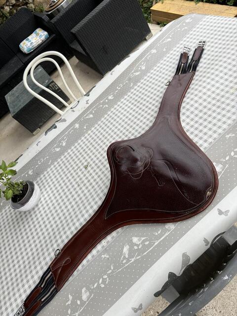 Sangle bavette antares 135