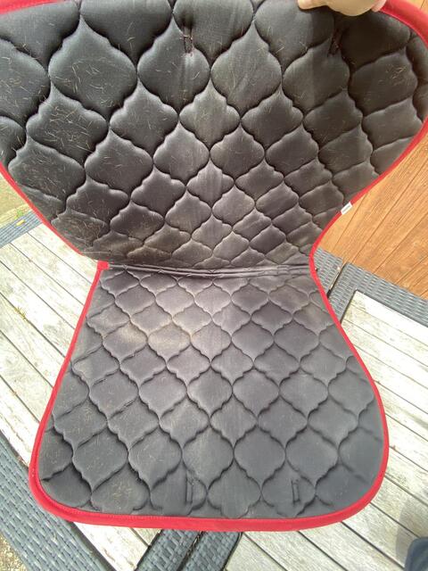 Tapis riding world