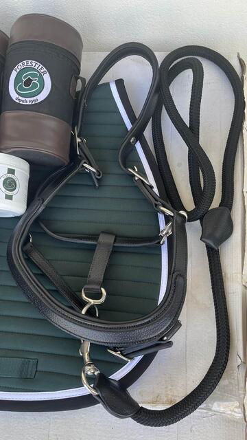 lot Forestier