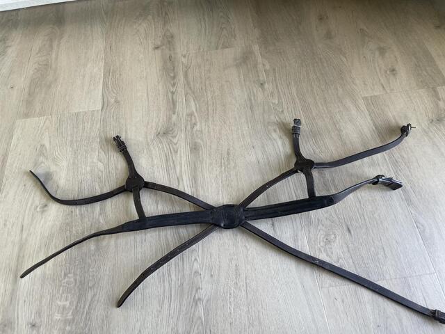 Muserolle croisée - taille cheval