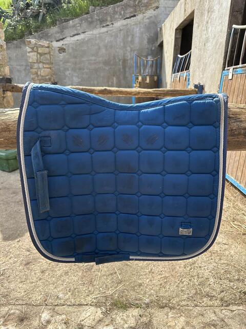 Tapis de Dressage Félix Bühler