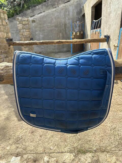 Tapis de Dressage Félix Bühler