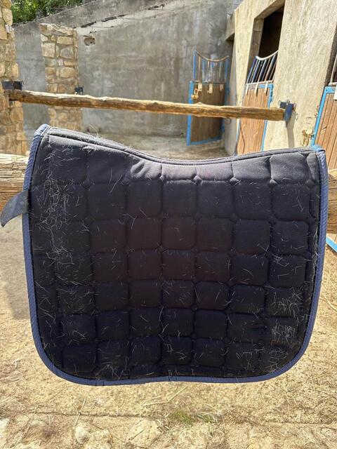 Tapis de Dressage Félix Bühler