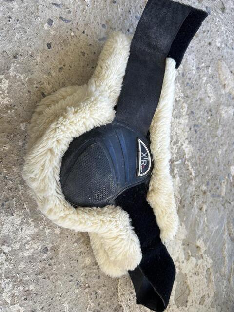 protège boulet mouton