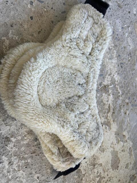protège boulet mouton