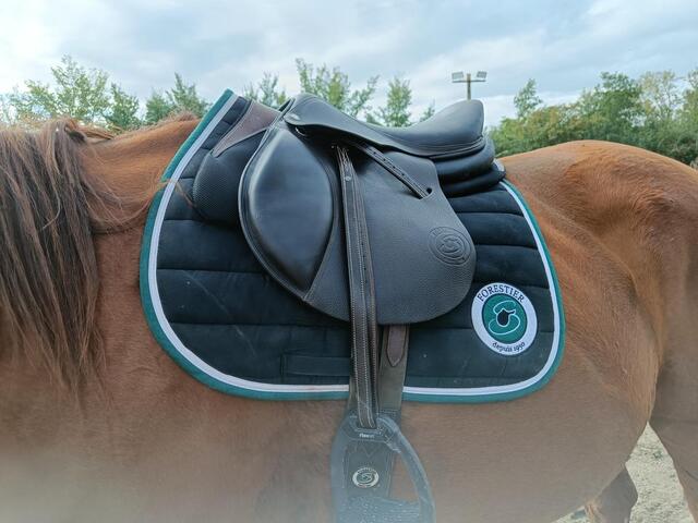Ensemble de concours