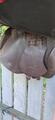 Selle prestige roma jump