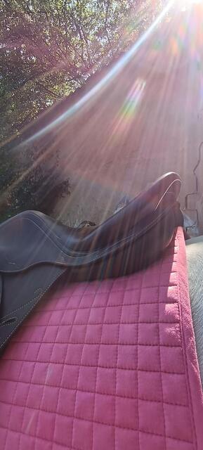 Selle prestige roma jump