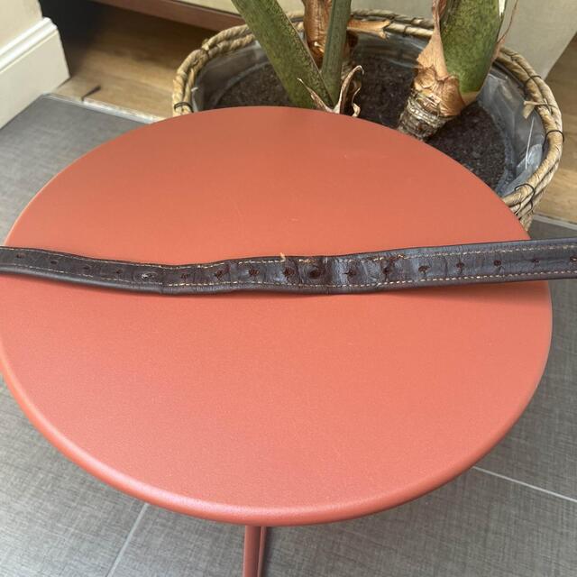 Étrivières CWD