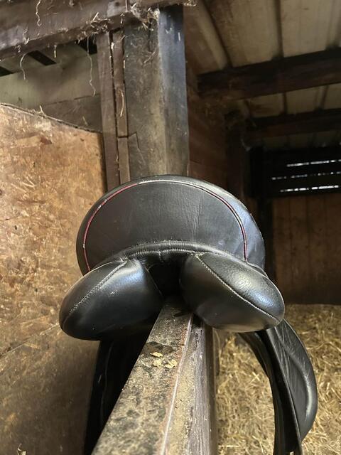 Selle mixte Thésée