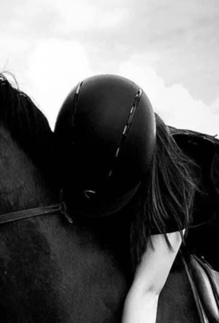 bombe equitheme