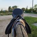 SELLE MIXTE KENT AND MASTER