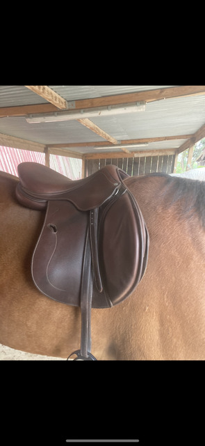 Selle Antares 2016 17,5
