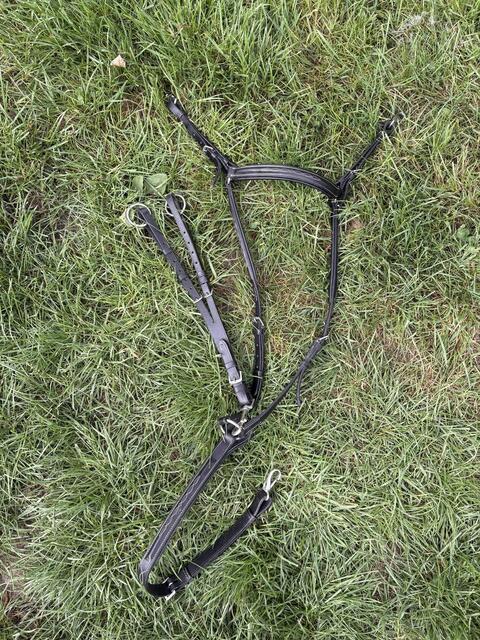 collier de chasse Norton