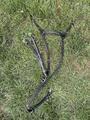 collier de chasse Norton
