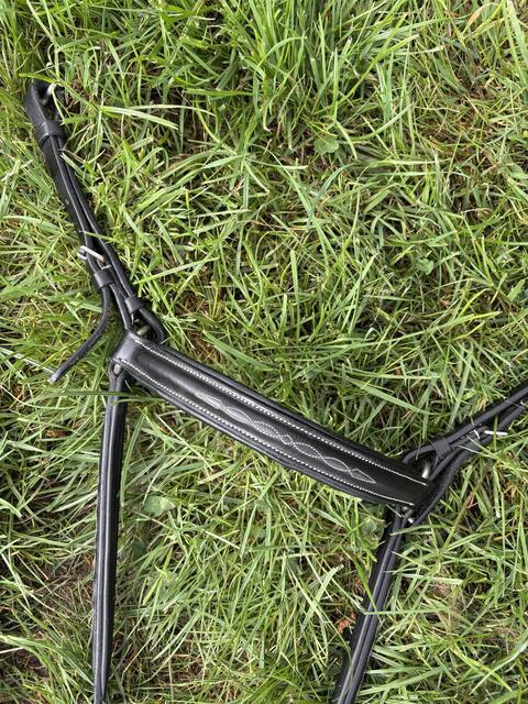 collier de chasse Norton