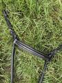 collier de chasse Norton