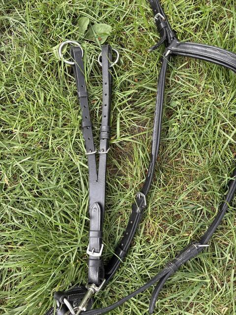 collier de chasse Norton