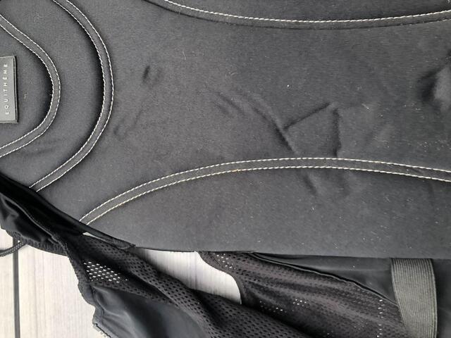 plastron