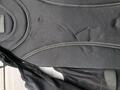 plastron