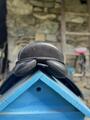 selle norton mixte