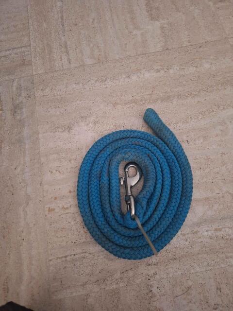 licol showmaster bleue canard avec longe