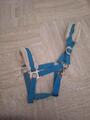 licol showmaster bleue canard avec longe