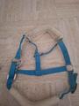 licol showmaster bleue canard avec longe