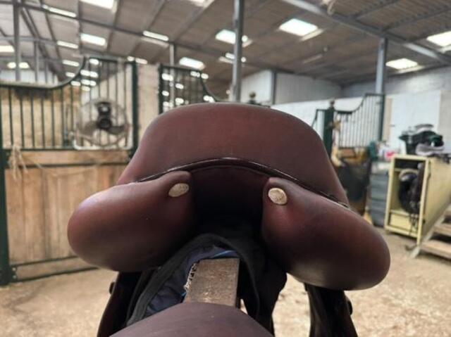 Selle 17 GBS semi creuse