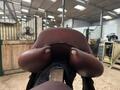 Selle 17 GBS semi creuse