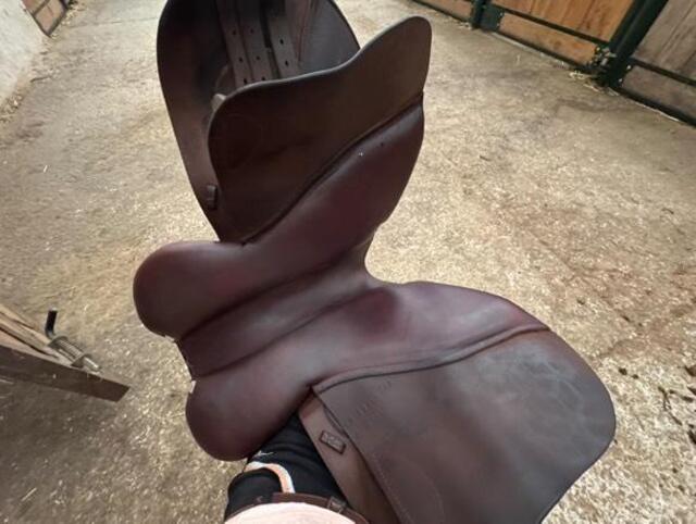 Selle 17 GBS semi creuse