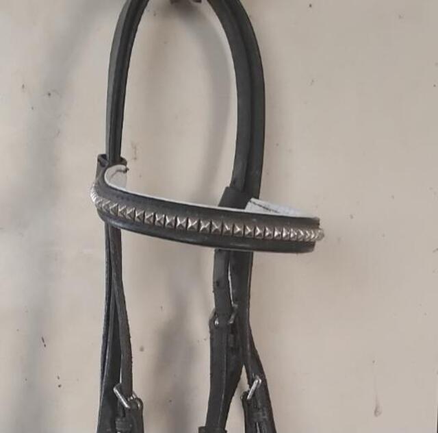 Bridon cheval