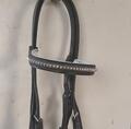 Bridon cheval