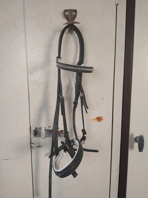 Bridon cheval