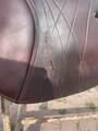 Selle mixte marron