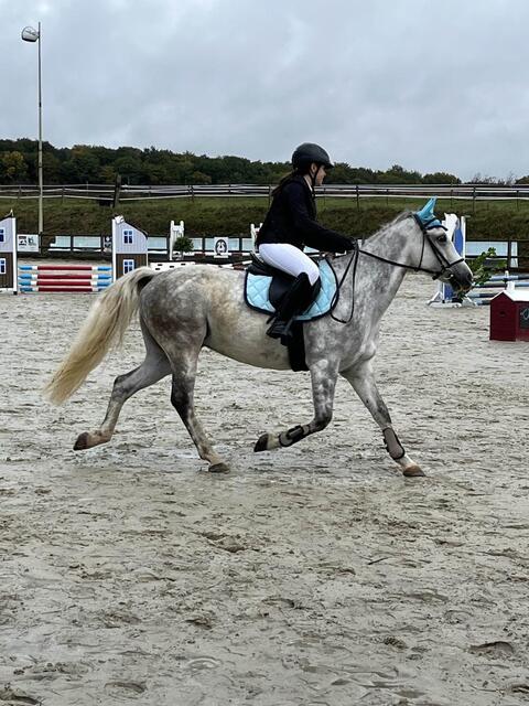 ensemble equithème bleu
