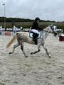 ensemble equithème bleu