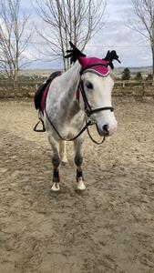 ensemble rose equithème
