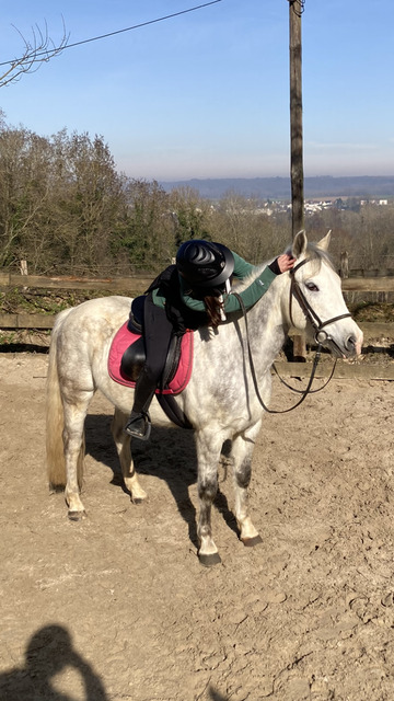 ensemble rose equithème