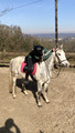 ensemble rose equithème